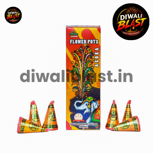 Flower Pot Ashoka (10 pcs)